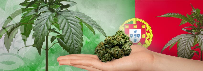 Weed-Friendly Countries: Portugal